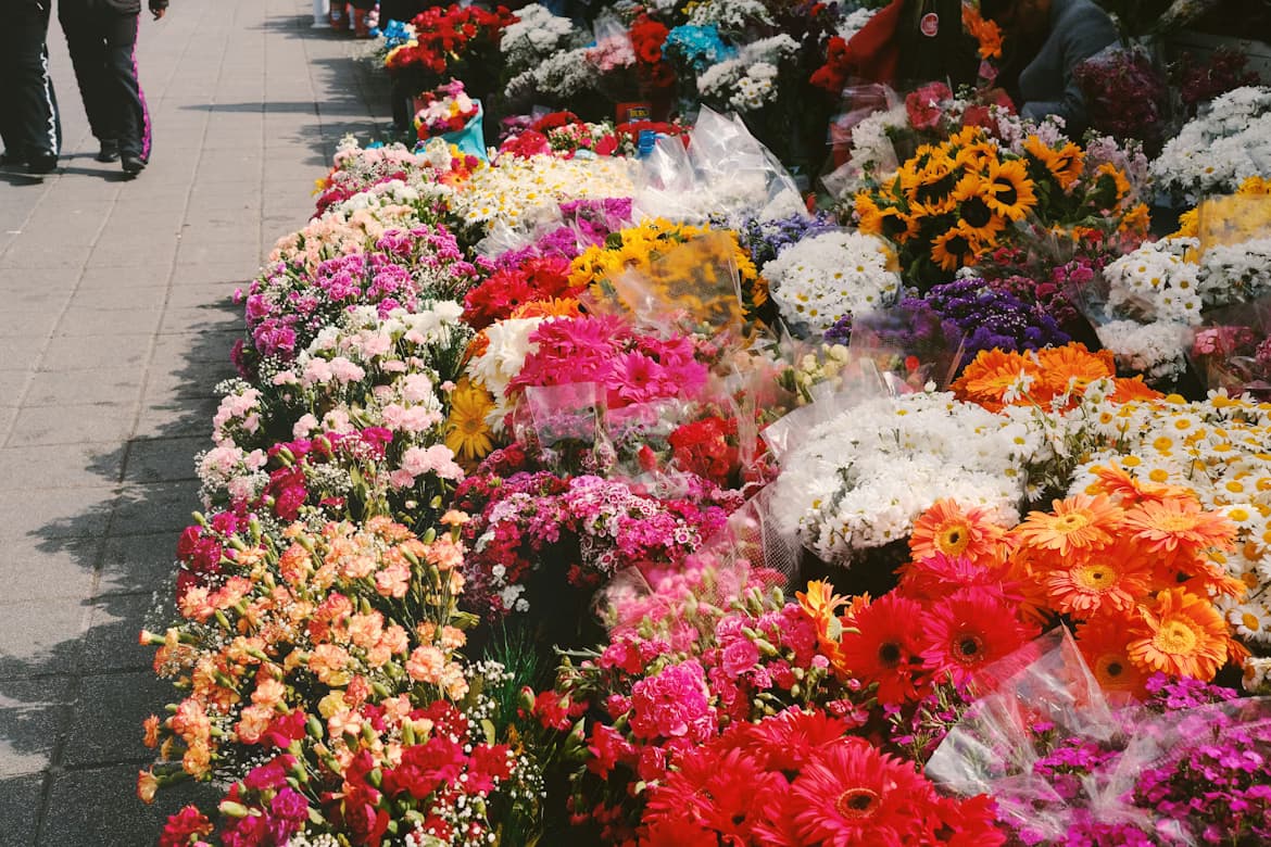 Các loại hoa được sinh viên VNU ưa chuộng